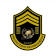 Protection Enforcement Agency LLC