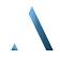 Alpha Leadership Co.